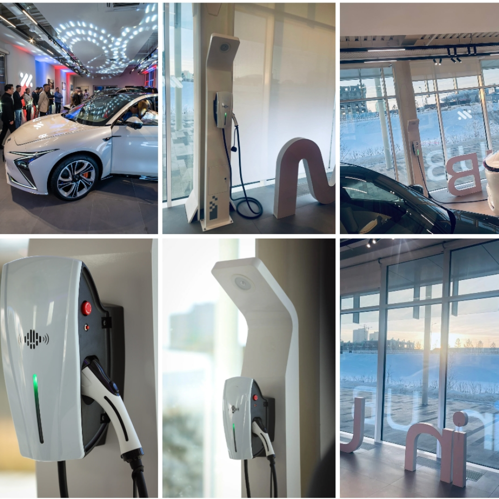 chargeur de véhicule électrique (3)